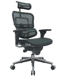 Eurotech Ergohuman High-Back Ergonomic Mesh Chair, Grey/Chrome 2