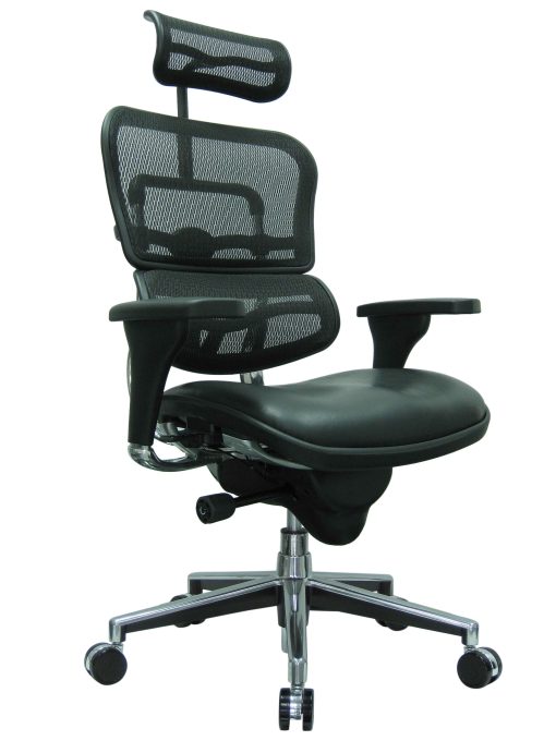 Raynor® Eurotech Ergohuman Ergonomic Bonded Leather/Mesh High-Back Chair, Black/Chrome - Image 2
