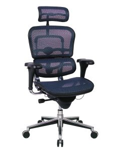 Eurotech Ergohuman High-Back Ergonomic Mesh Chair, Blue/Chrome