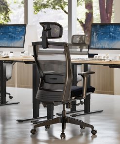 FlexiSpot C4B Ergonomic Mesh High-Back Office Chair, Black 2