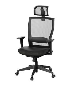 FlexiSpot C4B Ergonomic Mesh High-Back Office Chair, Black