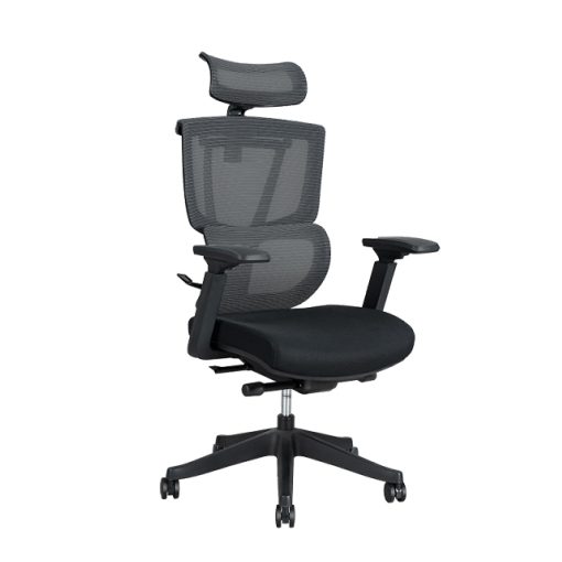 FlexiSpot C7 Ergonomic Mesh High-Back Office Chair, Black, C7BFOAM