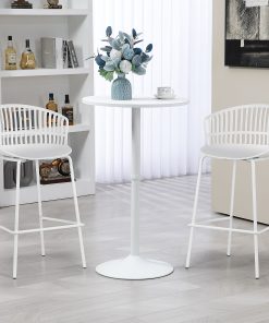 Glamour Home Basia Plastic Counter Height Stools With Back, White, Set Of 2 Stools