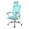Elama Ergonomic Mesh Full-Back Adjustable Office Task Chair With Headrest, Blue/White