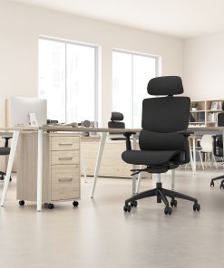 Bush Business Furniture Align Fabric High Back Ergonomic Office Chair with Lumbar Support, Black Nylon Mesh, Standard Deliver Service 2