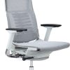 Raynor® Powerfit Ergonomic Mesh High-Back Executive Office Chair, Gray/White