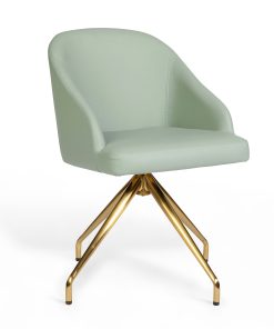 Martha Stewart Sora Faux Leather Stationary Office Chair, Sage Faux Leather/Polished Brass Frame
