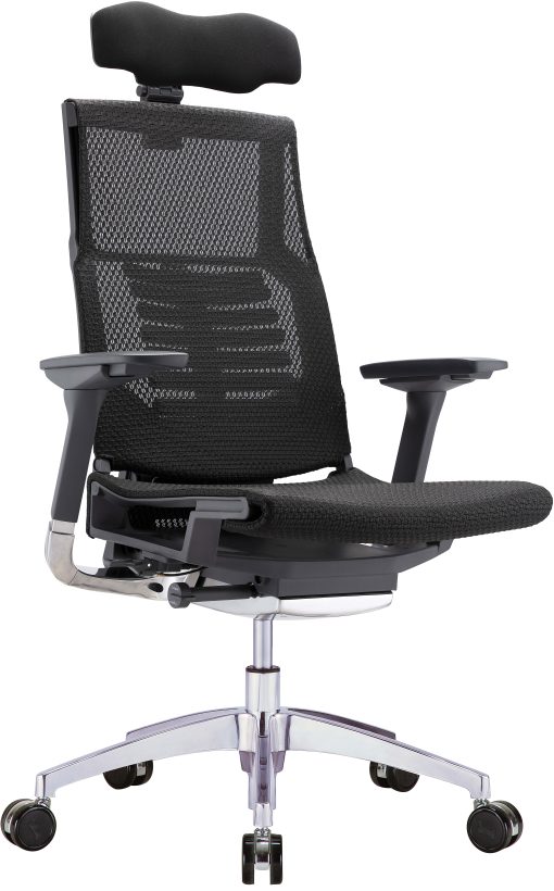 Raynor® Powerfit Ergonomic Mesh High-Back Executive Office Chair, Black