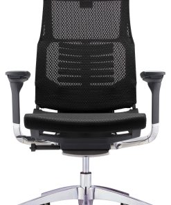 Raynor® Powerfit Ergonomic Mesh High-Back Executive Office Chair, Black 2