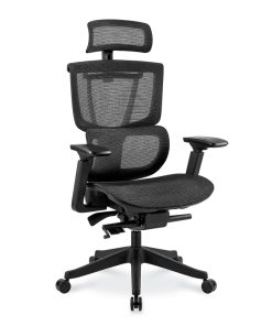 FlexiSpot C7 Ergonomic Mesh High-Back Office Chair, Black, C7BMESH