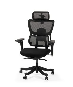 FlexiSpot C7 MAX,Ergonomic Mesh High-Back Office Chair, Foam Seat in Black, 2