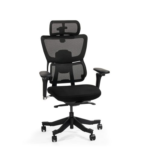 FlexiSpot C7 MAX,Ergonomic Mesh High-Back Office Chair, Foam Seat in Black,