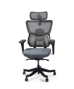 FlexiSpot C7 MAX Ergonomic Foam Seat, Office Chair, Gray color