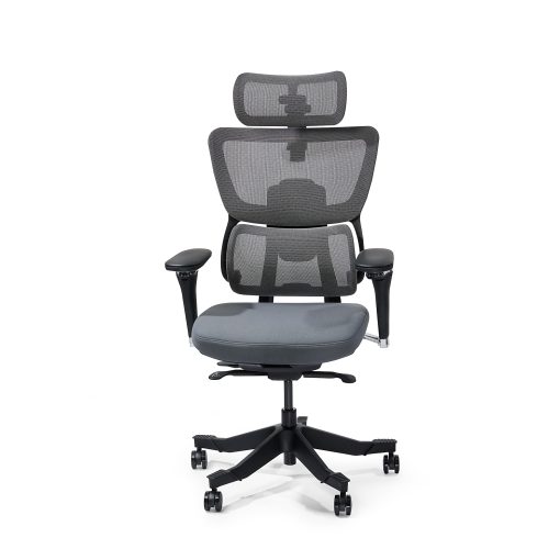 FlexiSpot C7 MAX Ergonomic Foam Seat, Office Chair, Gray color