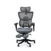 FlexiSpot C7 MAX Ergonomic Foam Seat Office Chair with Footrest, Gray