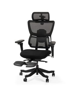Flexispot C7 MAX Ergonomic Chair Foam & Mesh With Footrest, Black color