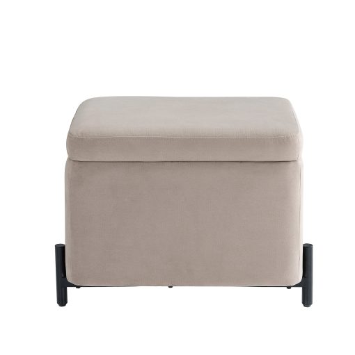Lifestyle Solutions Kansas Small Storage Ottoman, 24"W x 16"D x 18"H, Taupe